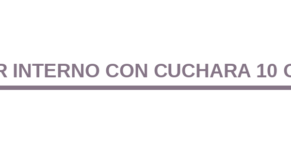 Mug Color Interno con Cuchara 10 OZ TMG-M29